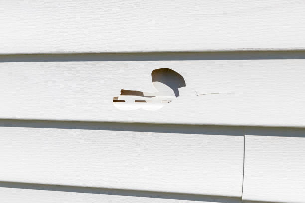 Same-Day Junk Removal Services in Summerville, GA